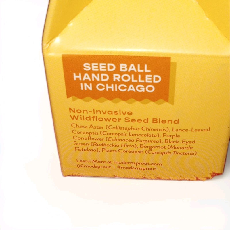 Modern Sprout Non-Invasive Wildflower Seed Ball, Indoor/Outdoor, Medium Sun gallery