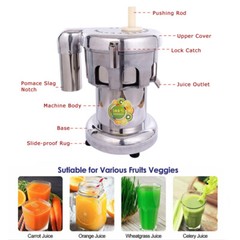 Techtongda Fruit Vegetable Juice Extractor Maker Cold Press Juicer Machine 750W