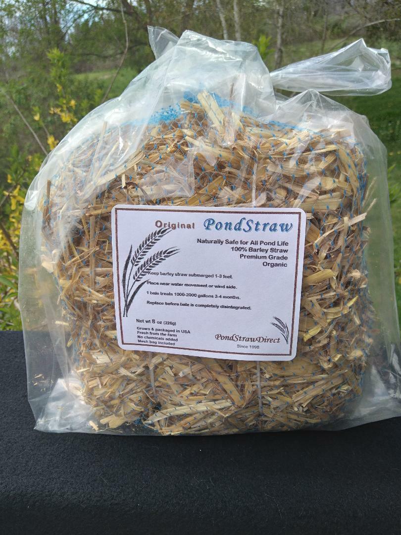 1 Certified ORGANIC Mini Barley Straw Bale - Treats 1000-2000 gallons - 8 oz gallery