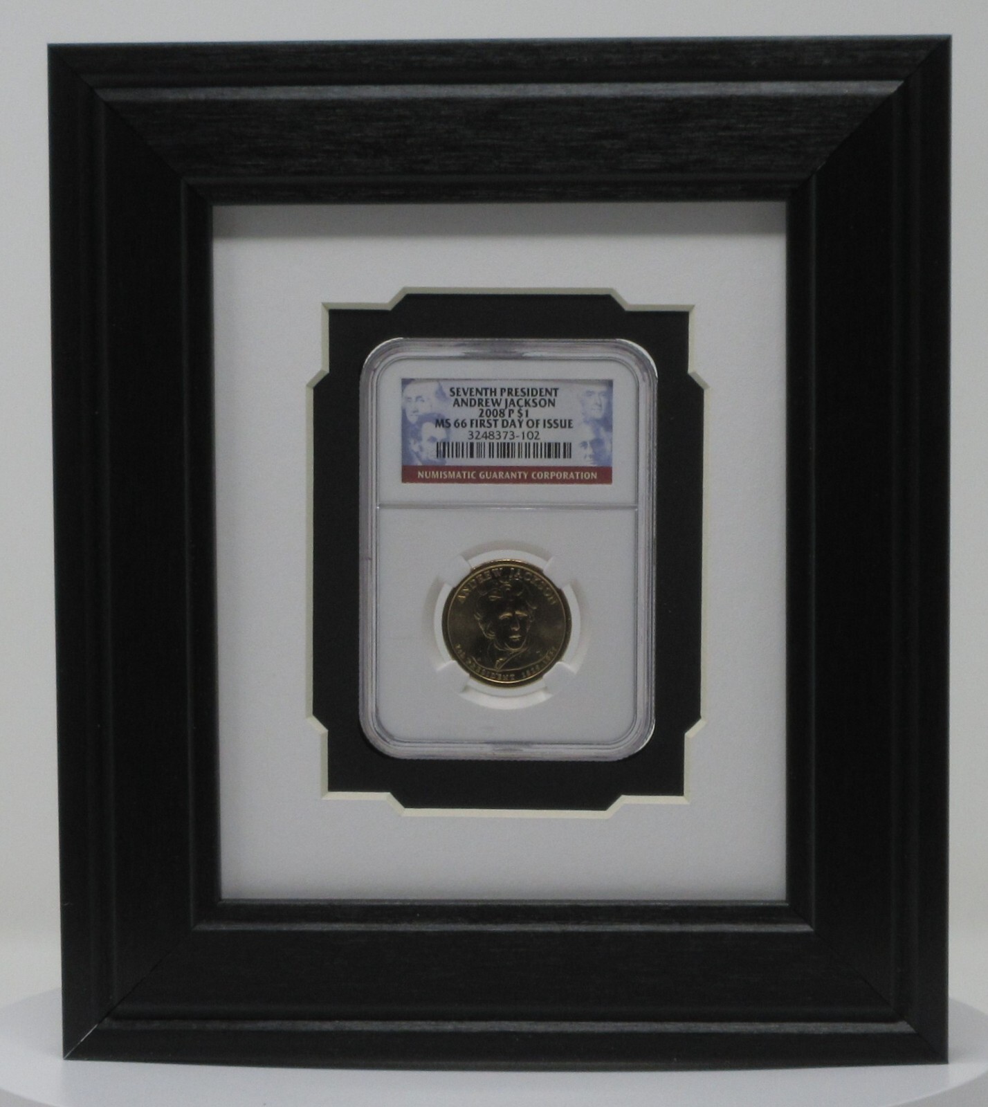 SLABBED GRADED COINS (NOT INCLUDED) NGC PCGS ANACS WALL DISPLAY PICTURE FRAME gallery