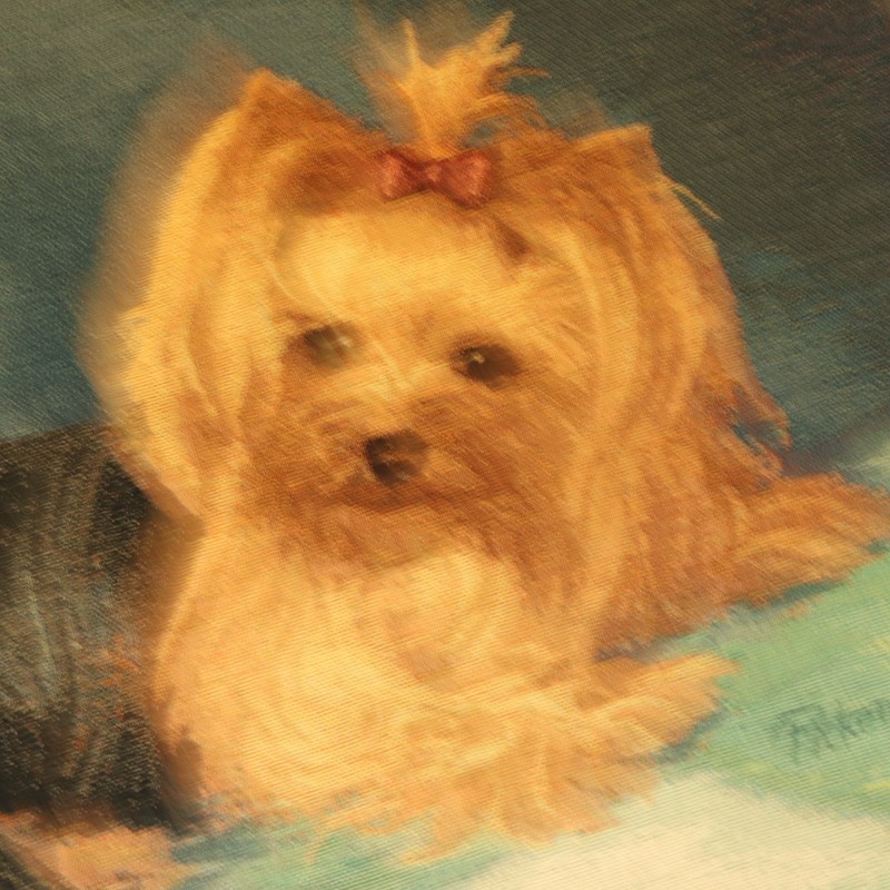 Yorkshire Terrier Yorkie Throw Blanket by Linda Picken Tapestry Dog 64X51 gallery