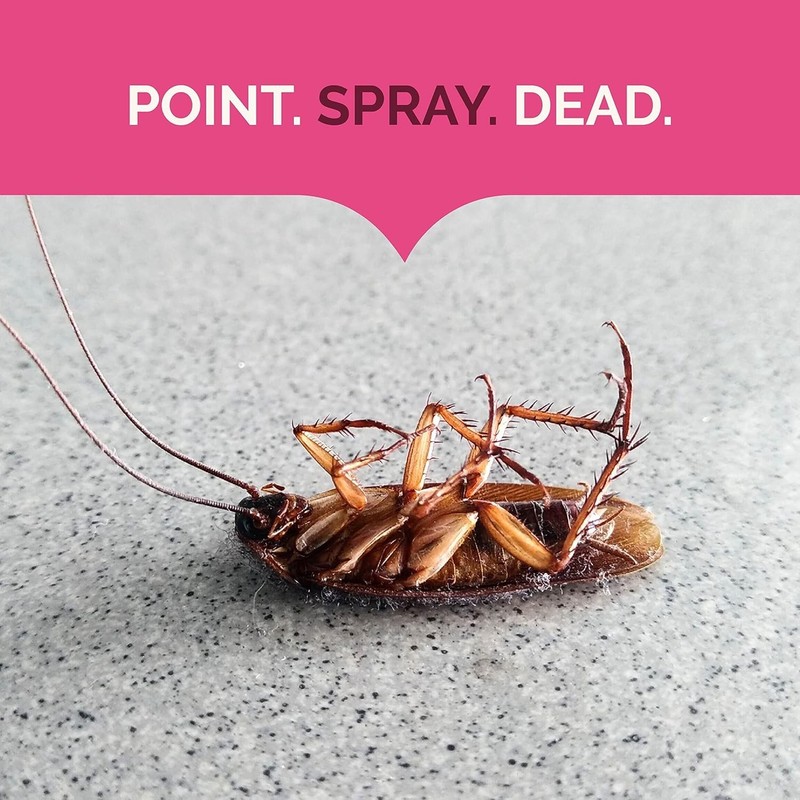Ant, Roach And Spider Killer 2-17.5 Ounce Aerosol Cans, Fresh Floral Scent, Twin gallery