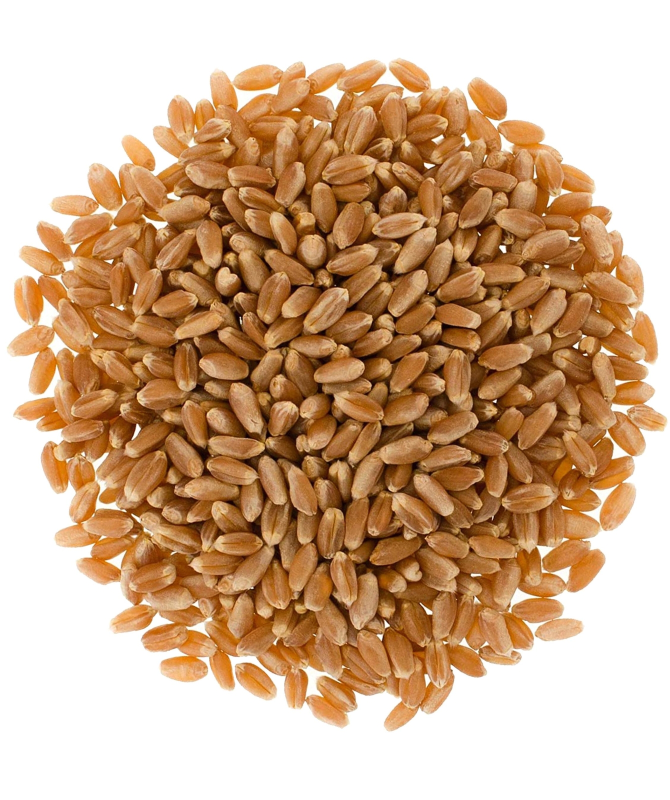 Palouse Brand Bulk Red Winter Wheat Berries, 18 LBS gallery