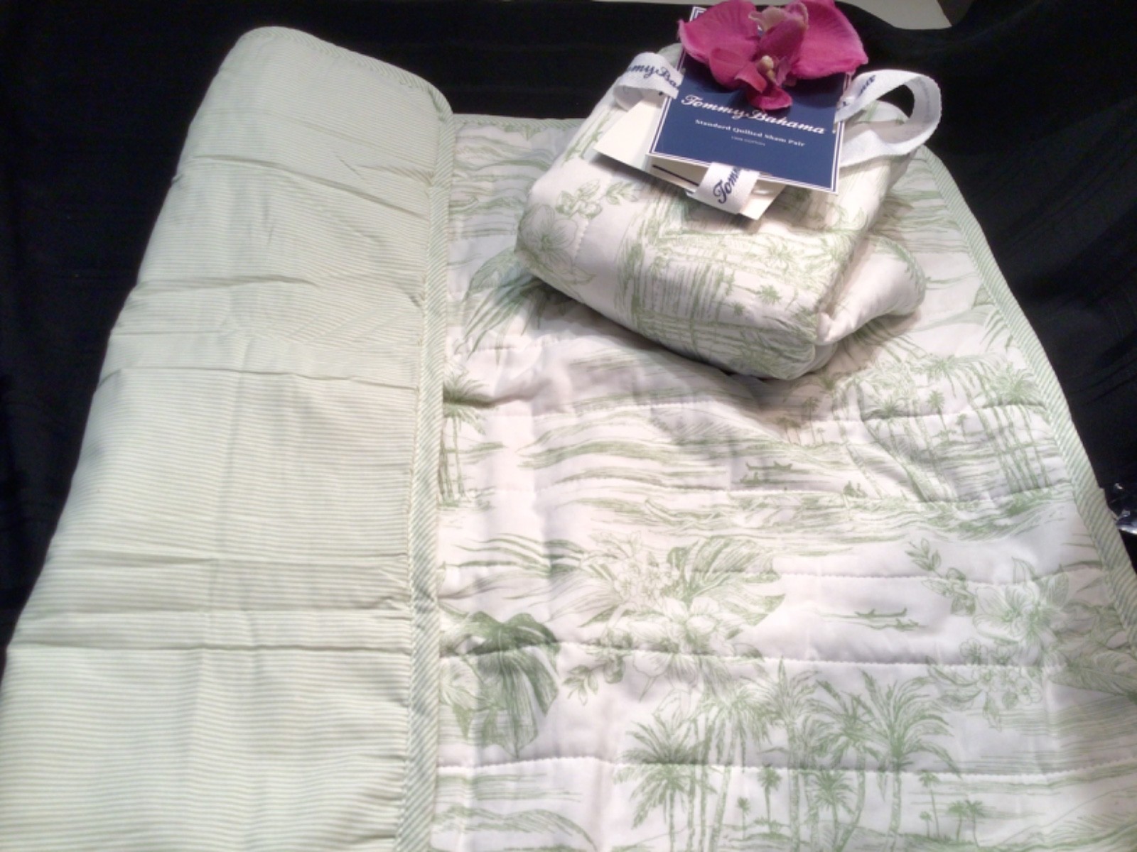 Tommy Bahama Standard Quilted Sham 2 PC Set Beach Bluff Toile Green NEW gallery