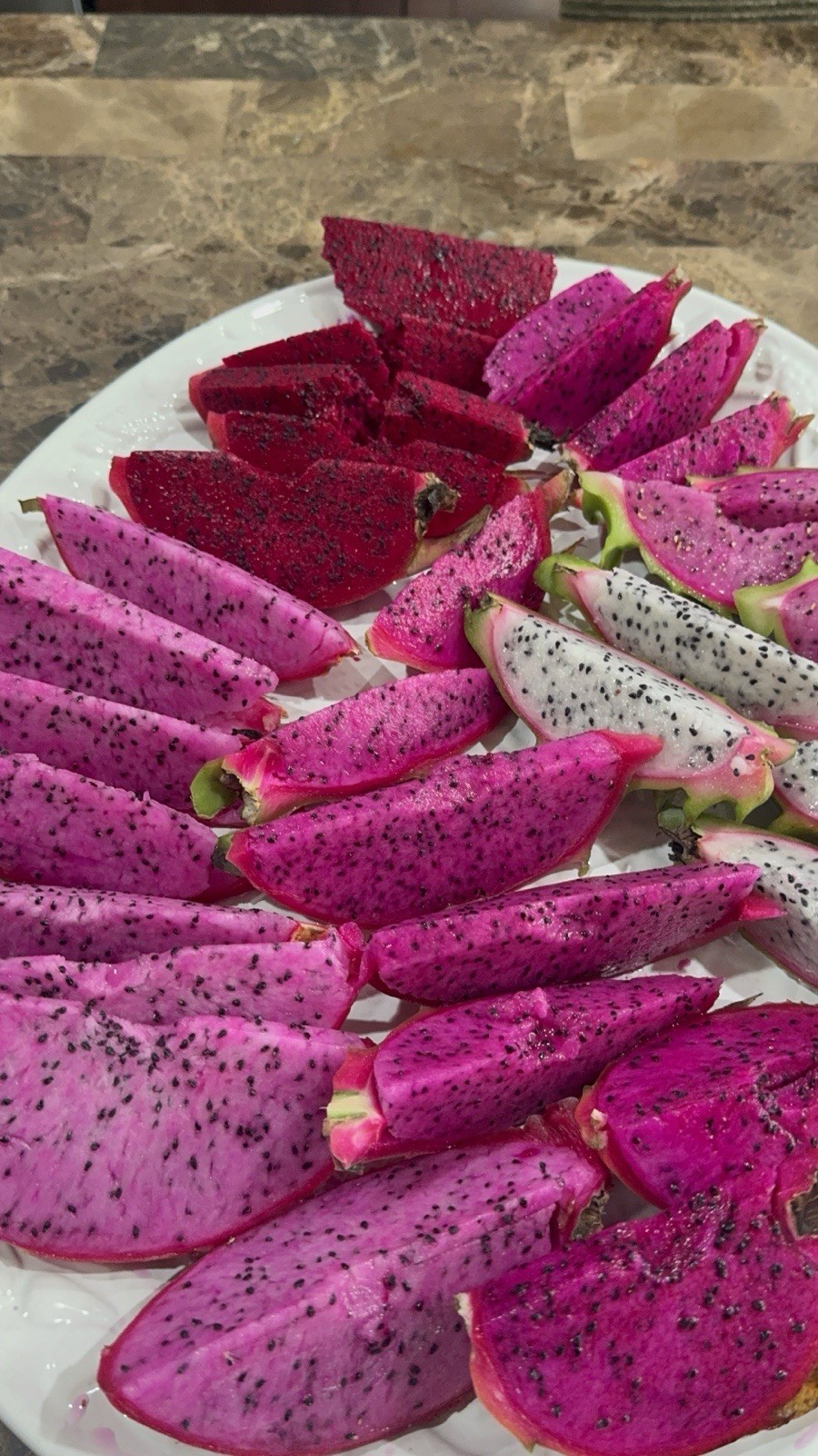 7 Small DRAGON FRUIT CUTTING 5 Inches for Grafting Check Description gallery