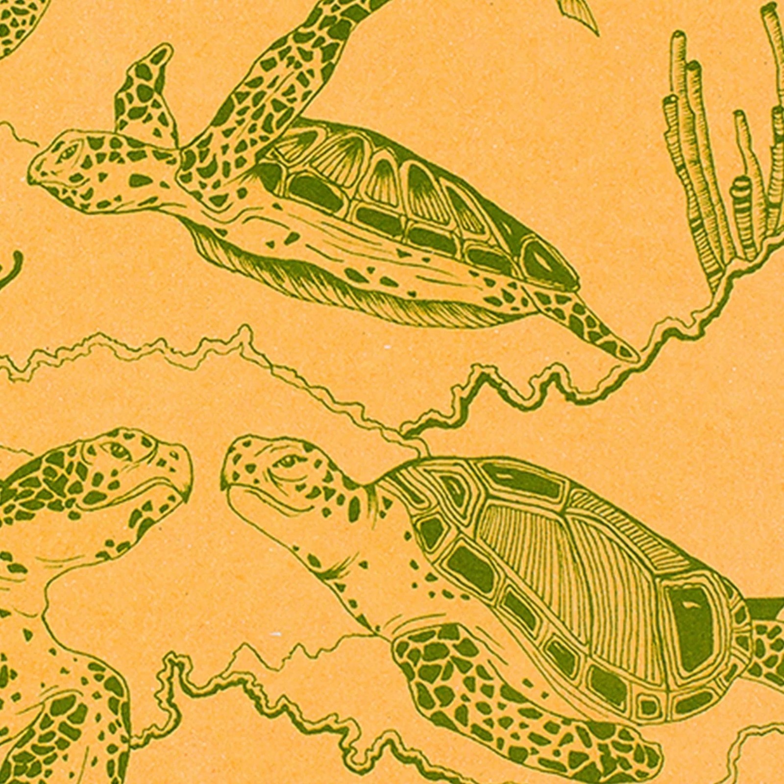 Decomposition Michael Roger Book, Sea Turtles, Pocket Size, 6" x 4" gallery