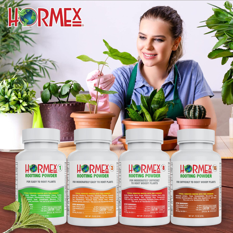 Hormex Rooting Powder #16 - for Difficult to Root Woody Plants - 1.6% IBA gallery