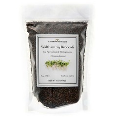 Broccoli Seeds for Sprouting & Microgreens | Non-GMO | Rainbow Heirloom Seed Co
