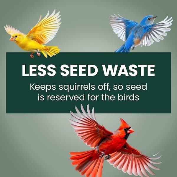 Squirrel-Be-Gone Squirrel Proof Bird Feeder - 2 Lb. Capacity New gallery