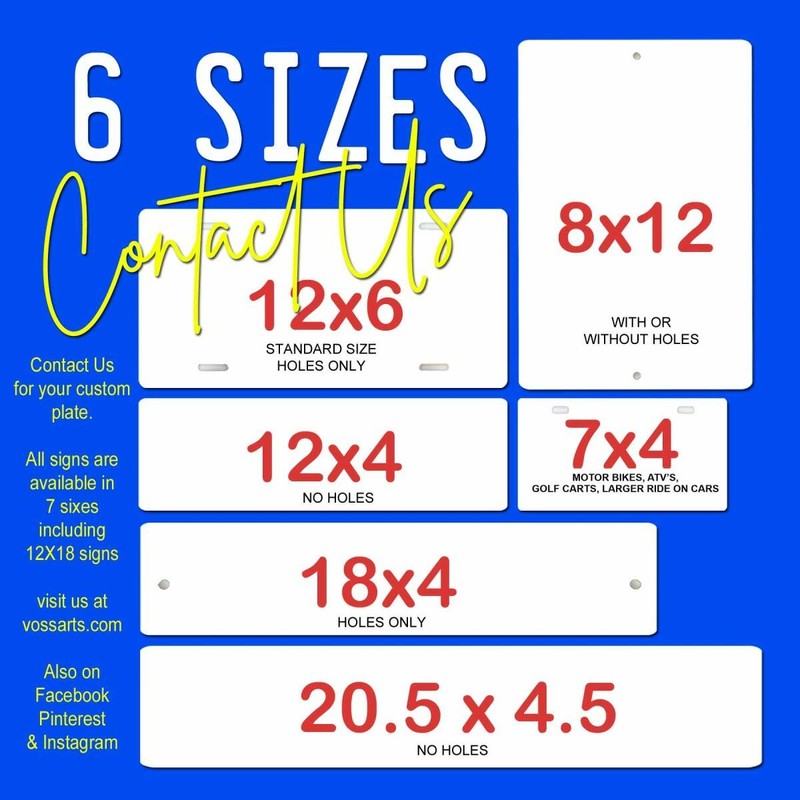 Florida Antique Blue Custom Peronalized license plate tag 12x6 YOUR NAME TEXT gallery