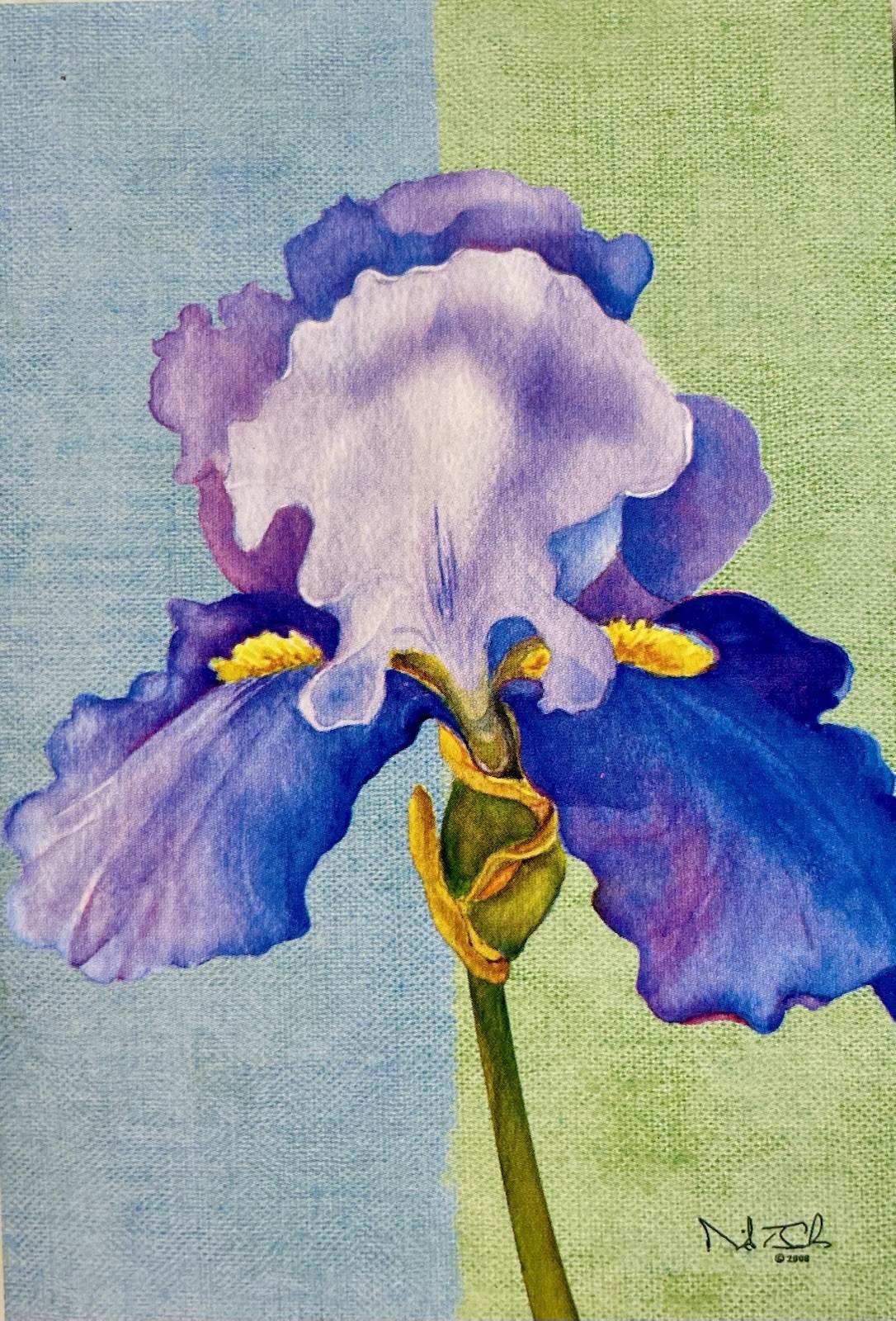 IRIS GARDEN PURPLE FLOWER FLORAL SPRING SUMMER LARGE YARD HOUSE FLAG NEW gallery
