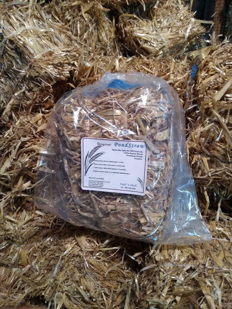 1 Certified ORGANIC Mini Barley Straw Bale - Treats 2000-3000 gallons - 16 oz gallery