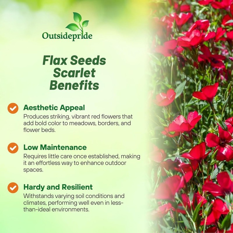 5000 Seeds Drought Tolerant Linum Rubrum Scarlet Flax Wildflower Seed gallery
