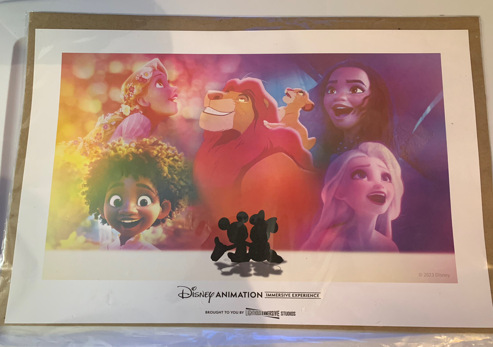 New Disney Animation Immersive Experience Print Poster gallery