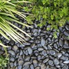 Large Pebbles for Landscaping 40lbs, 2-3 Inch Black River Rocks for Aquarium,... gallery