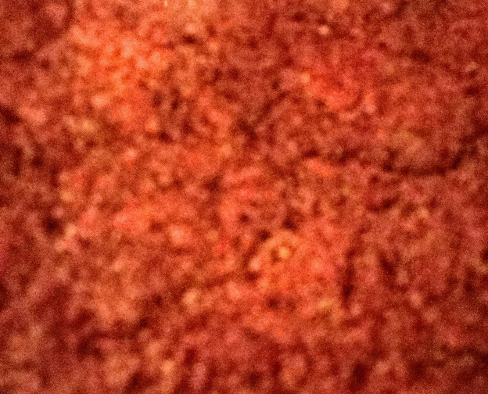 Ground Sumac All Natural 3 Ounces gallery