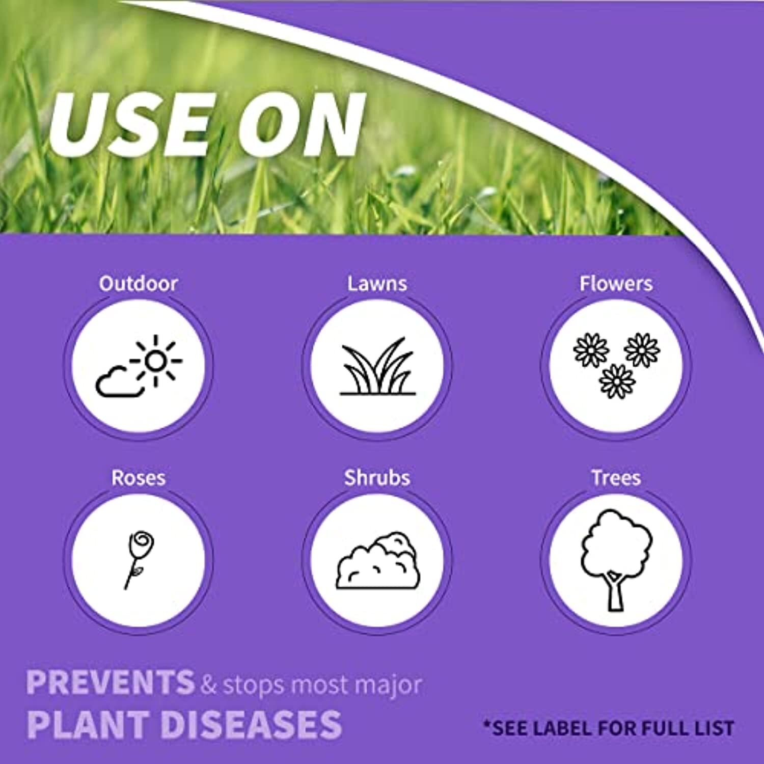 Bonide 148 Infuse Systemic Disease Control Fungicide Concentrate, 16 oz, gallery