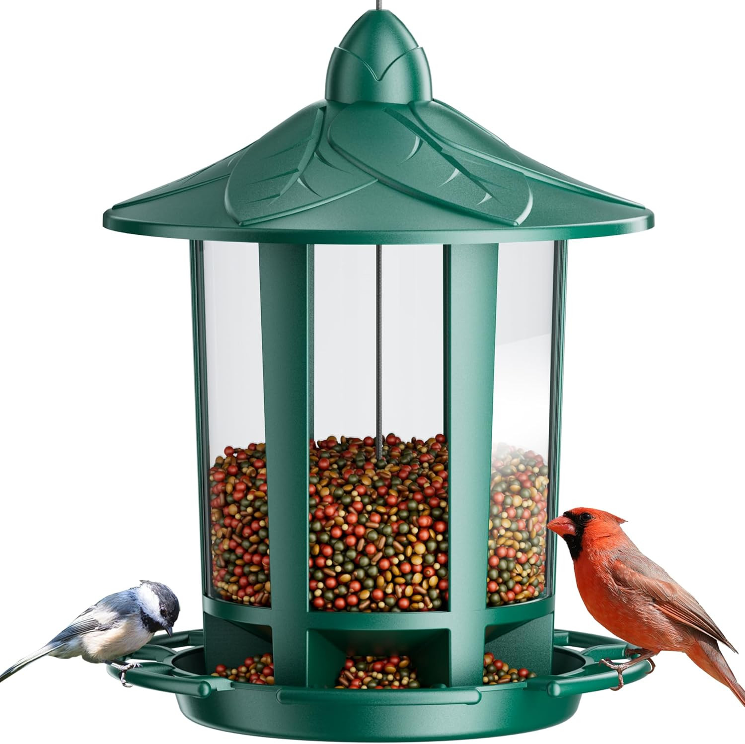 Bird Feeders for Outdoor Hanging, Assembly Required, 1-Min Easy Setup, Charming gallery