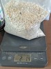 2 Lbs Green Field Corn Fertilizer 34-0-0 Nitrogen Fruit Trees Garden Lawn Bamboo gallery