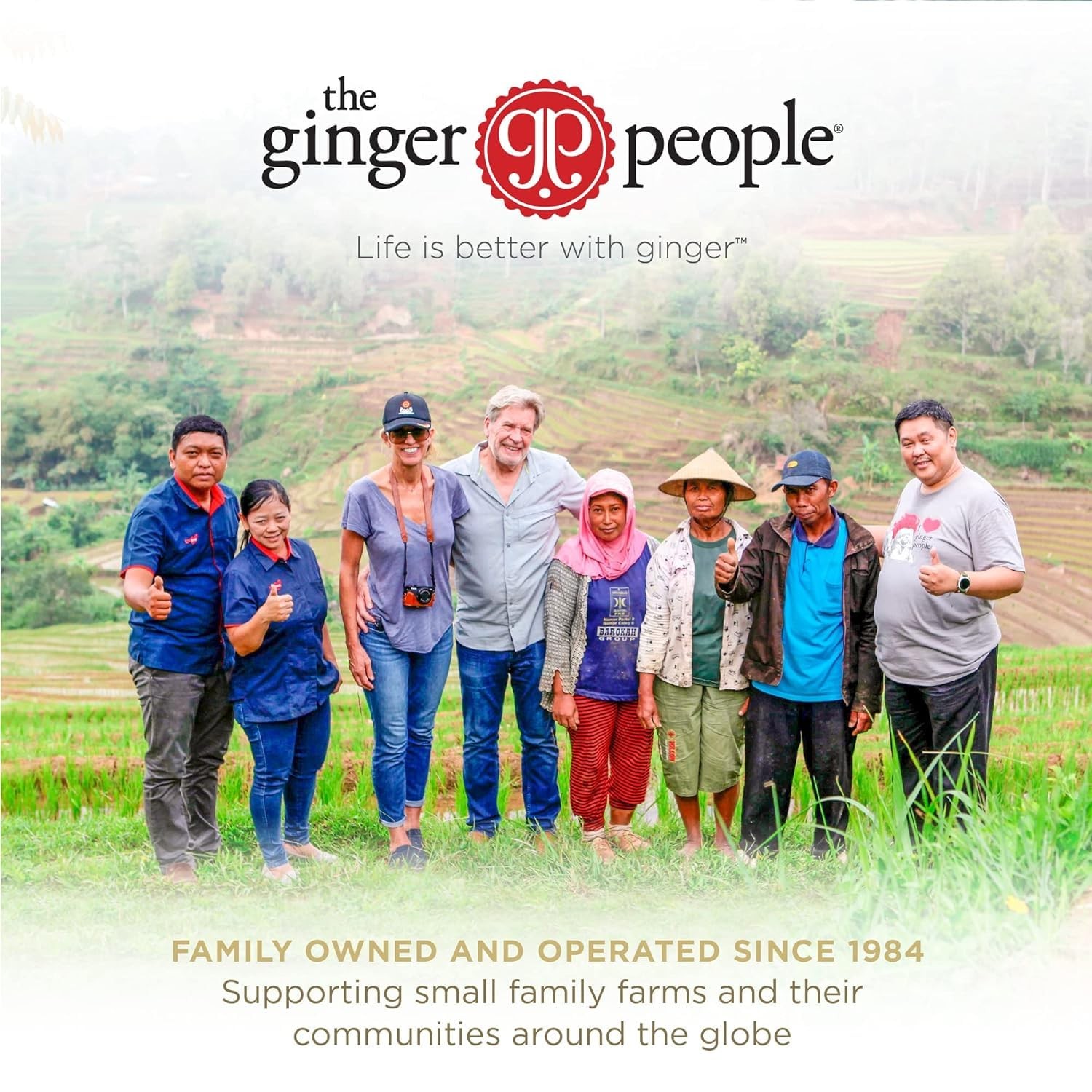 Ginger Juice 99% Pure Ginger Juice by The Ginger People Original Flavor 32 Fl Oz gallery