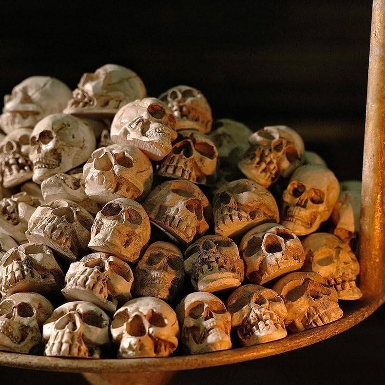 20 Pcs Mini Skull Heads, for Halloween Decorations, Garden & Diorama Crafts gallery
