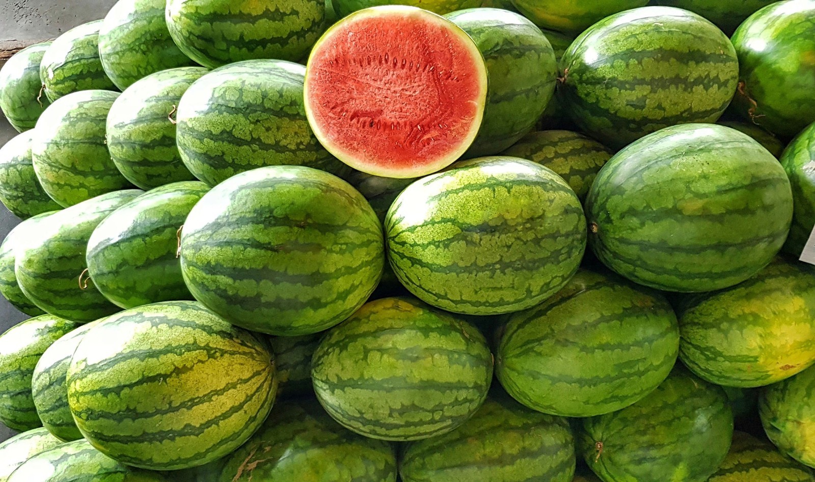 Vegetable Seeds-Florida Giant Watermelon -20 Heirloom Seeds! Giant Fruits! gallery