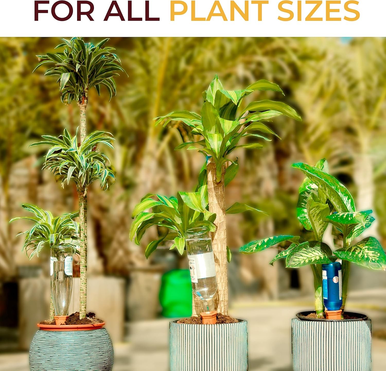 10-Pack Natural Self Watering Spikes - Terracotta - Automatic Plant Waterer gallery
