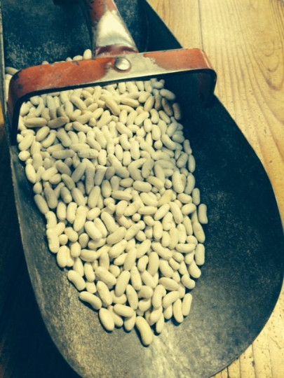 Blue Lake Stringless FM1K Pole Bean Seeds gallery