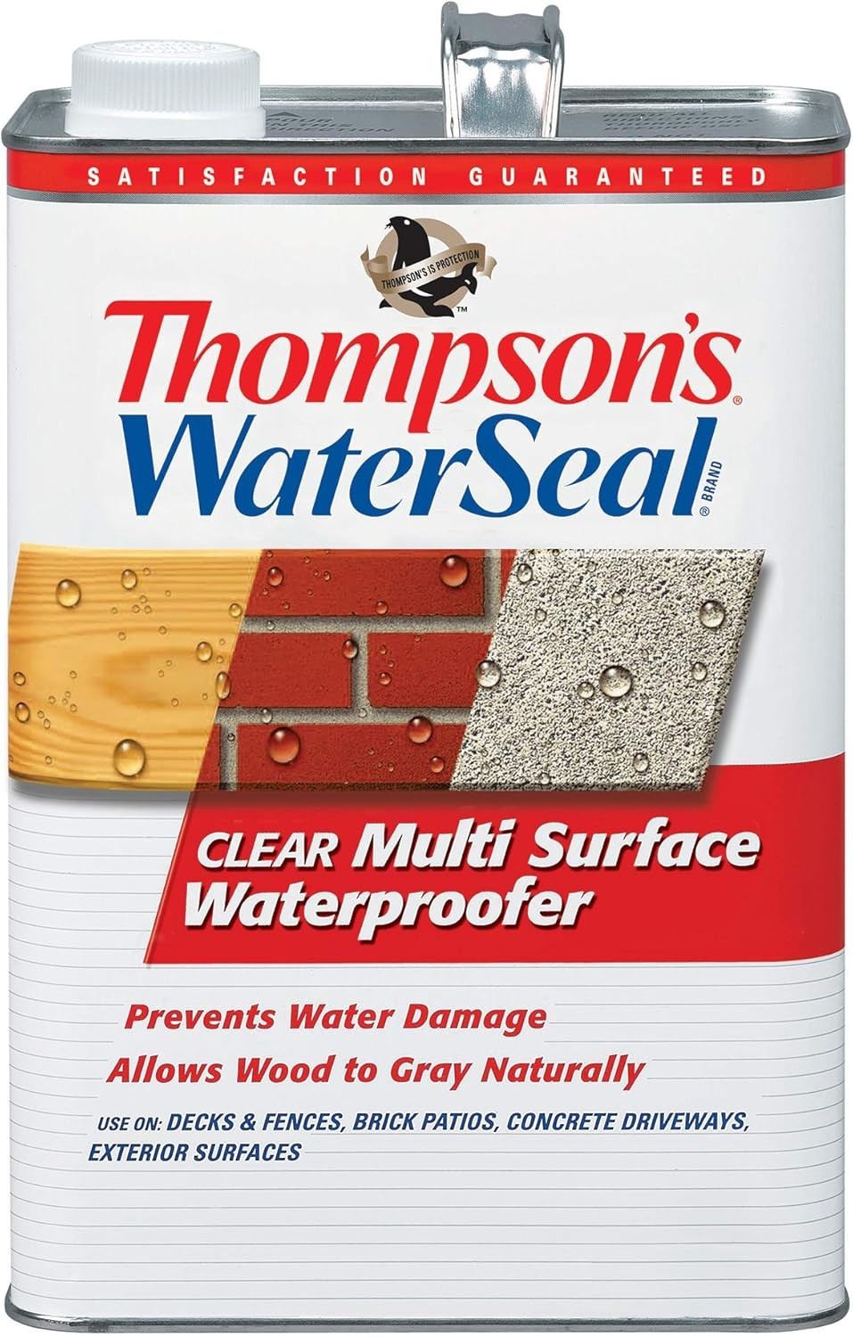 Thompson’s WaterSeal Multi-Surface Waterproofer Stain, Clear, 1 Gallon gallery