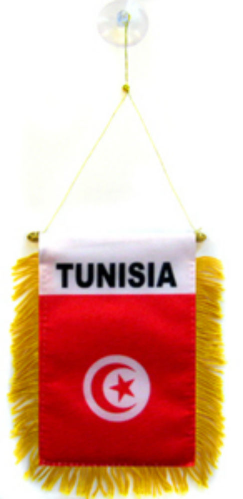 Tunisia Mini Flag 4"x6" Window Banner w/ suction cup gallery