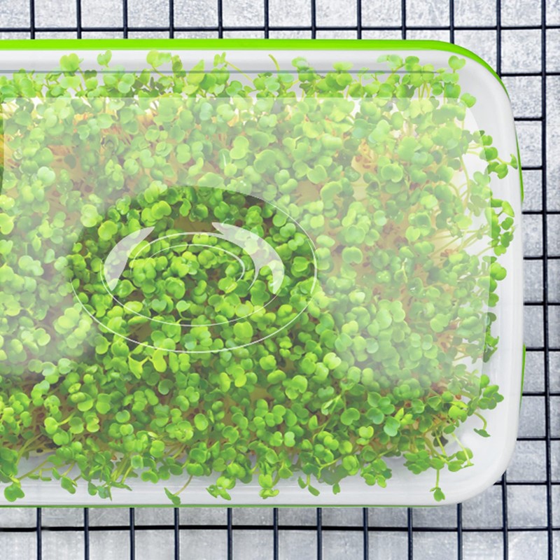 UCandy Seed Sprouter Tray with Drain Holes,Seed 5 Pack With Lid-light Green gallery