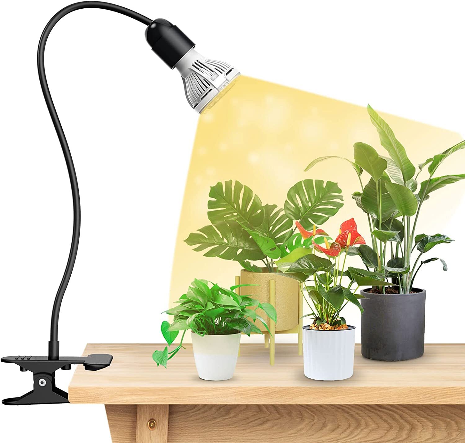 One Head 150W LED Grow Light Full Spectrum Clip on Desk Pot light Plant Lamp COC gallery