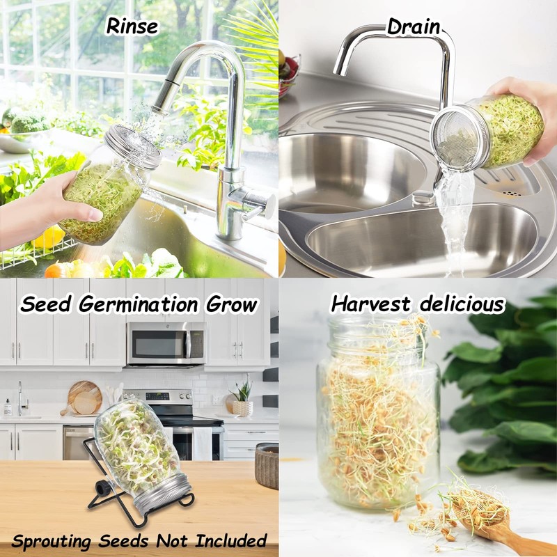 Organic Sprouting Jar Kit for Broccoli, Alfalfa, Mung & Bean Microgreens gallery