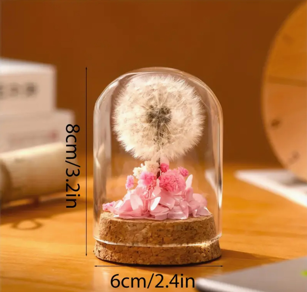 🌼 Eternal Dandelion Wish | Giant Preserved Natural Bloom✨🌿 Mother's Day gallery