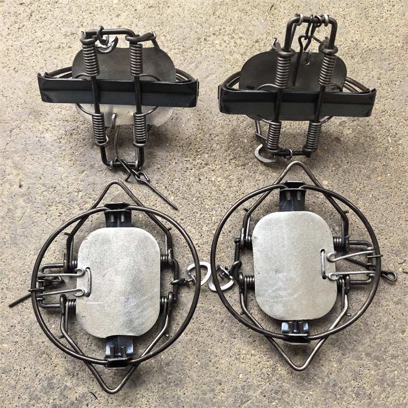 4 Units 4-3/10" Coil Spring Traps Lynx Coyote Bobcat Mouse Rabbit Rat Trapping gallery