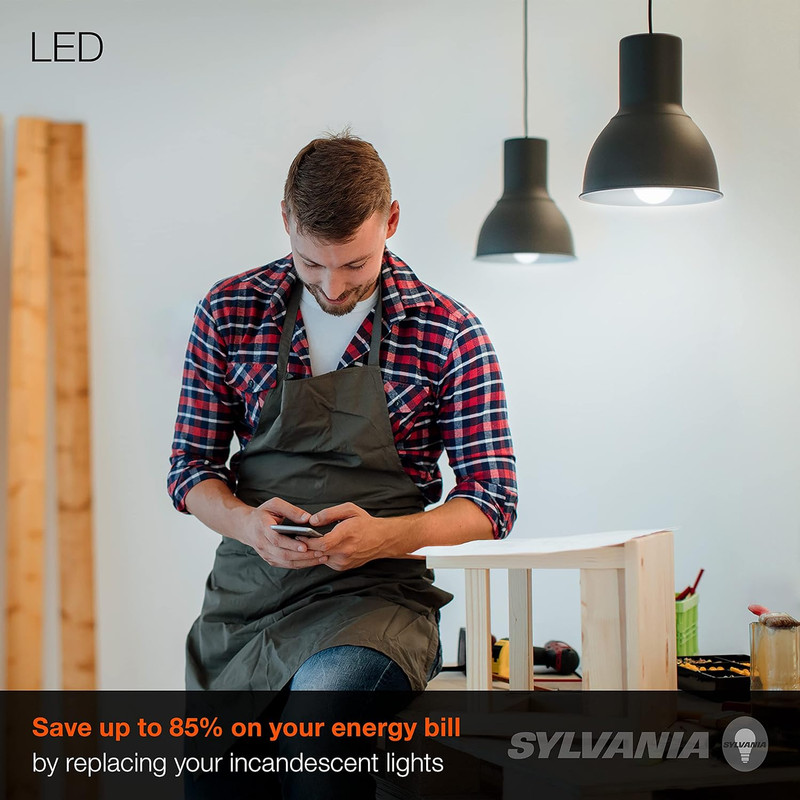Sylvania LED Light Bulb, 100W Equivalent A19, Efficient 14W, Medium Base, Froste gallery