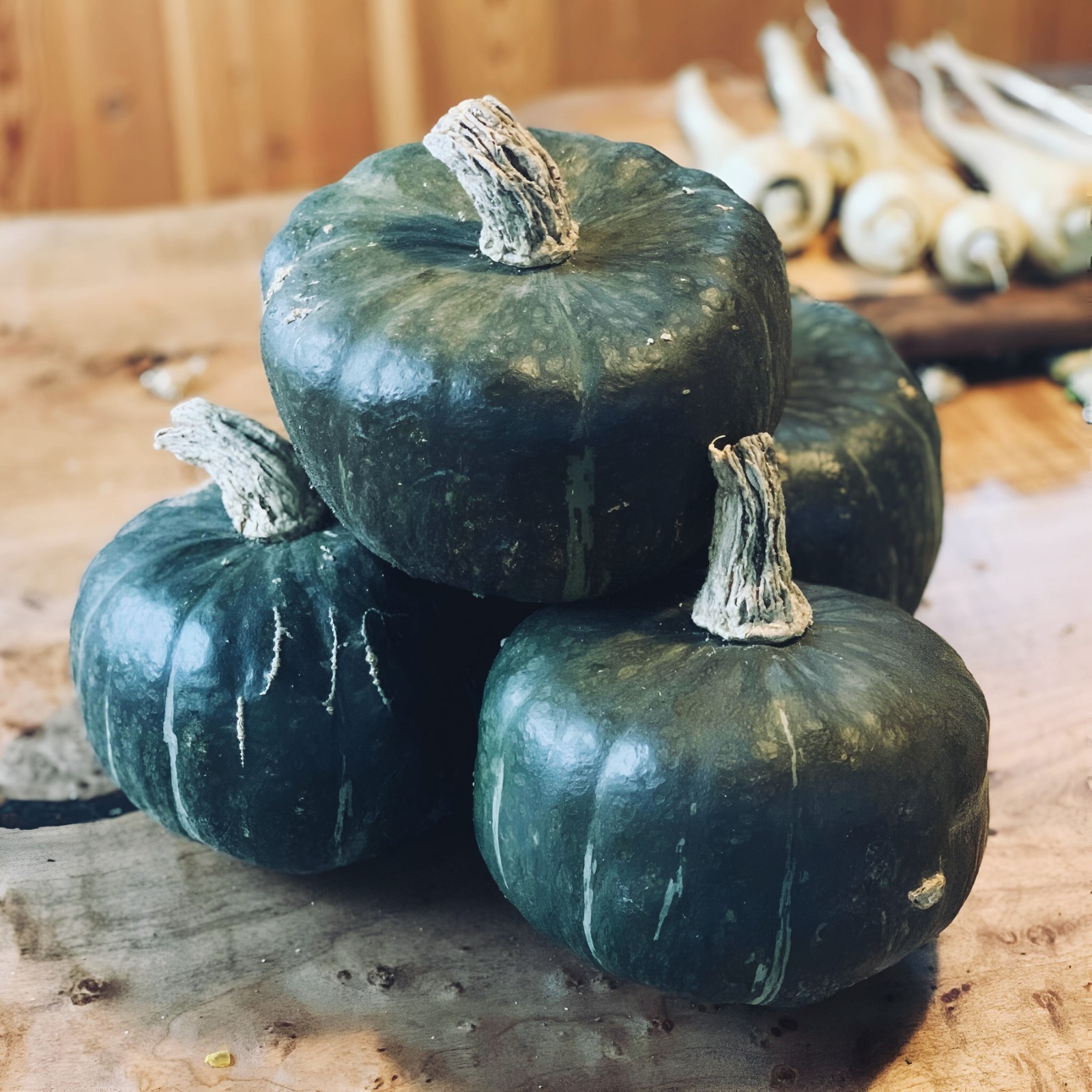 15 ~ Burgess Buttercup Winter Squash Heirloom Non-GMO Seeds gallery