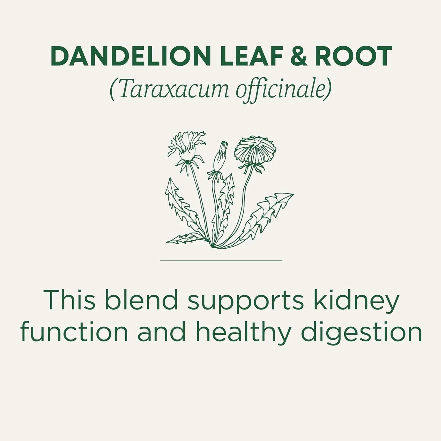 Dandelion Leaf & Root Tea 16 Bag gallery