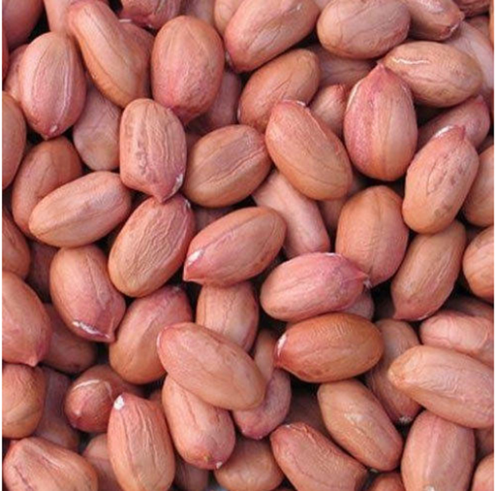 Nigerian Styled Roasted Groundnuts, Lightly Salted, Organic food | 460g, Sealed gallery