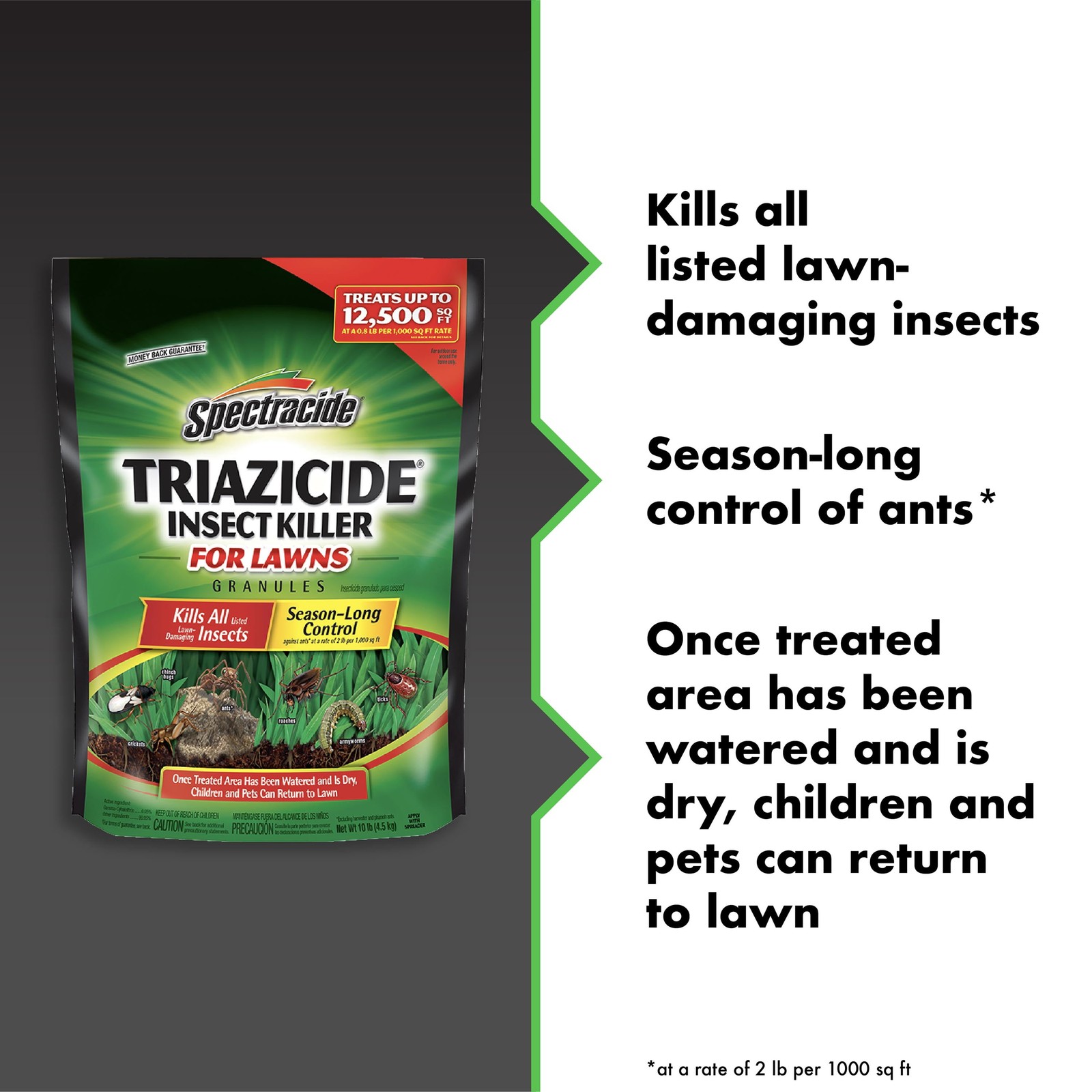 Triazicide Insect Killer for Lawns, Granules Kill Lawn-Damaging Insects, 10 lb gallery