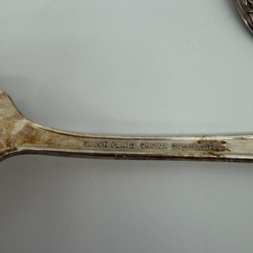 Oneida Community Tudor Silverplate Queen Bess II Flatware Set 11pc Floral 1946 gallery