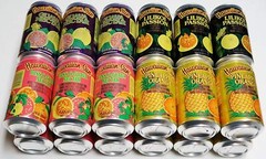 Hawaiian Sun Drinks 24 Pack Sampler (6 cans of 4 Flavors)