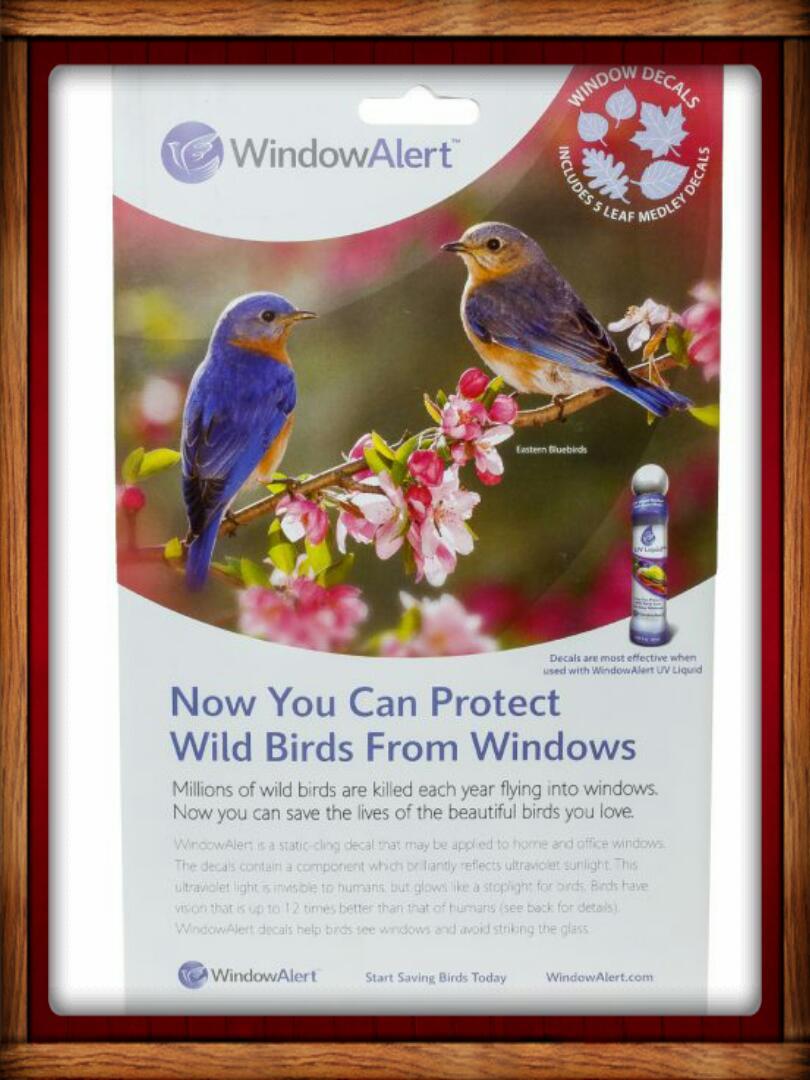 Window Alert ANTI-COLLISION CLINGS LEAF DECALS SAVE PREVENT BIRD WINDOW STRIKES gallery