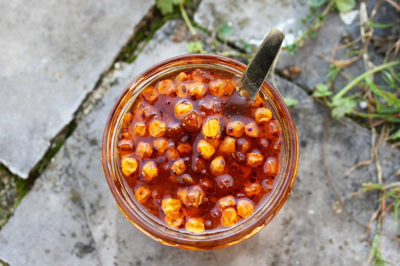 150+ Sea Buckthorn Seeds for Planting – Hippophae rhamnoides Hardy Berry Shrub S gallery
