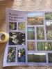Native Freshwater Plants Large 23" X 62" Mural Poster 2001 University Of Florida gallery