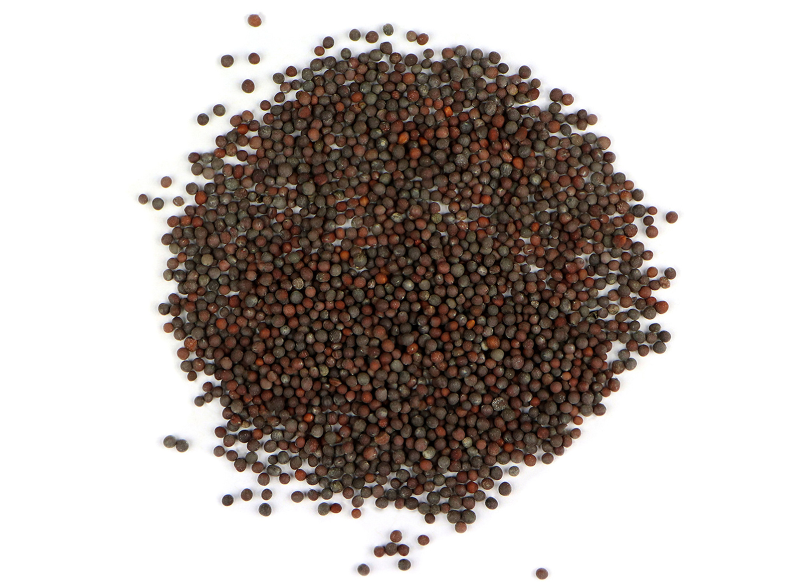 Organic Brown Mustard Seeds - 2 Grams gallery