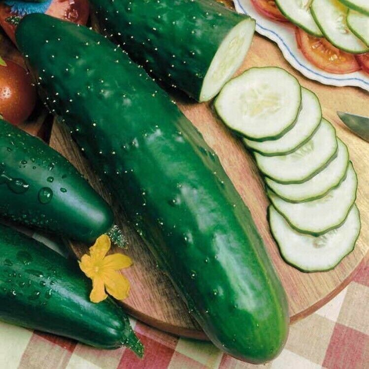Cucumber Seed 20PCS Seeds Cucumbers Cuke Cucumis Sativus Organic Bulk Seeds gallery