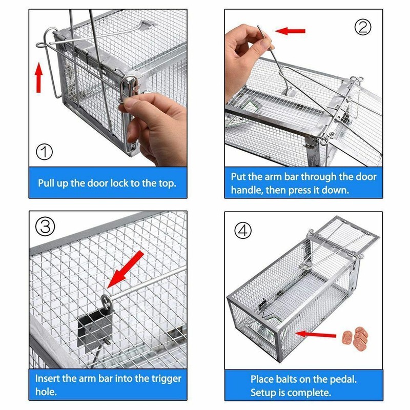 1/2pc Live Humane Cage Trap for Squirrel Chipmunk Rat Mice Rodent Animal Catcher gallery