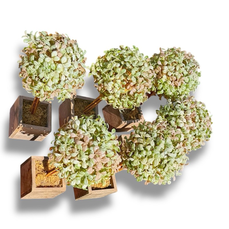Artificial Tabletop Boxwood Topiary Trees Cottage House Granny Core Round Plant gallery