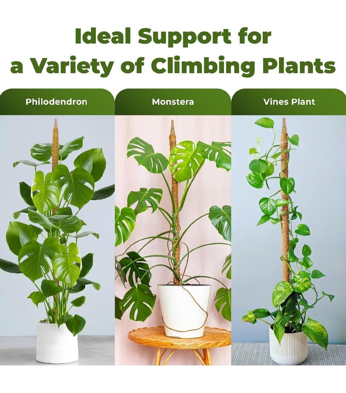 2 Pk 48” Bendable Moss Pole For Monstera Plant Coir Climbing Plant Support Stick gallery